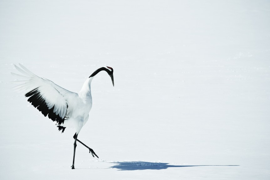 Who do you want to be, and what do you want to accomplish in&nbsp;2020?